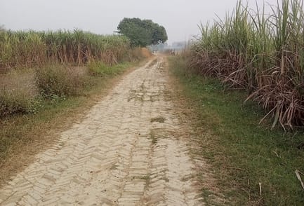 Indo-Nepal border road stuck in government, work stalled for five months