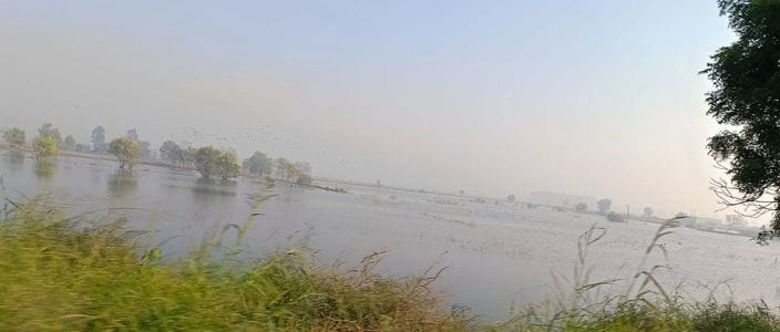 AQI @291... City's toxic air is spoiling health
