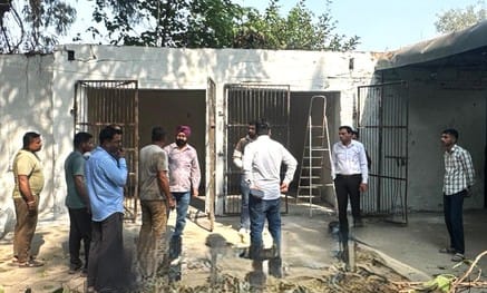 After ten years, stray dogs will be sterilized and vaccinated in the city