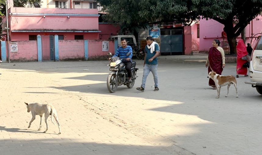 There are no boundary walls in 150 schools, 82 hospitals, dogs roam around.