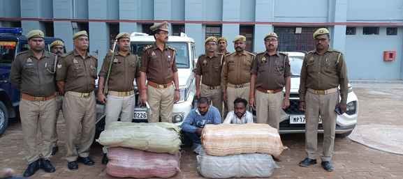 Two interstate marijuana smugglers arrested with 100 kilograms of cannabis