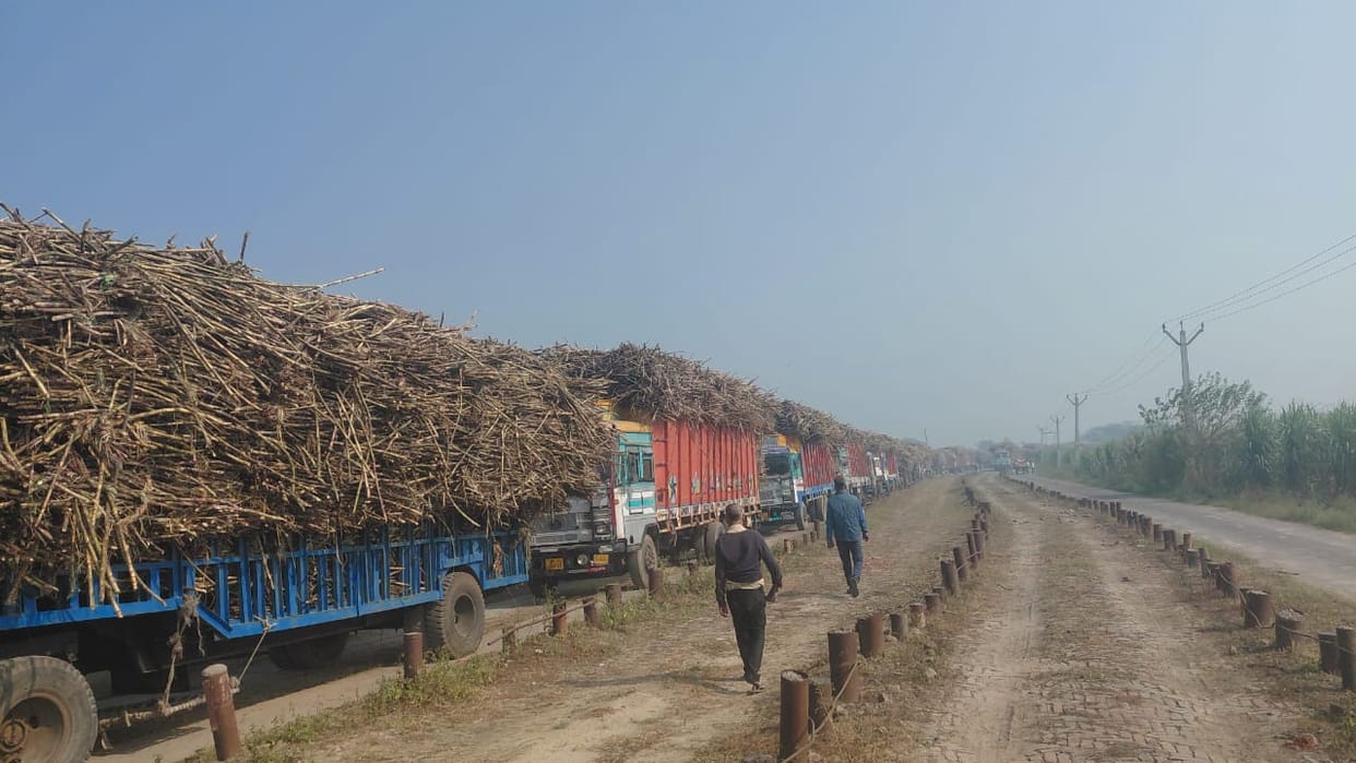 The sugar mill shut down as soon as it was operational amid half-hearted preparations, leaving farmers worried.