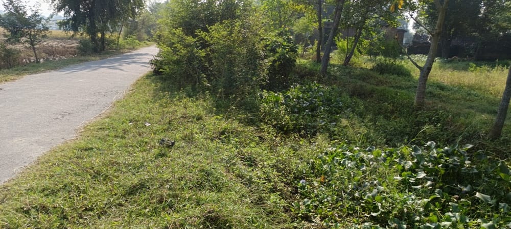Siddharthnagar News : Farmers upset over irrigation due to non-cleaning of mines