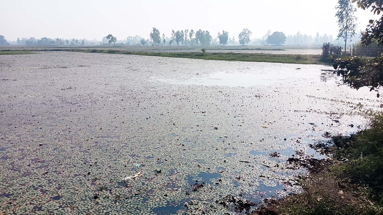 Several departments will jointly beautify Nahil's Sagar Lake.