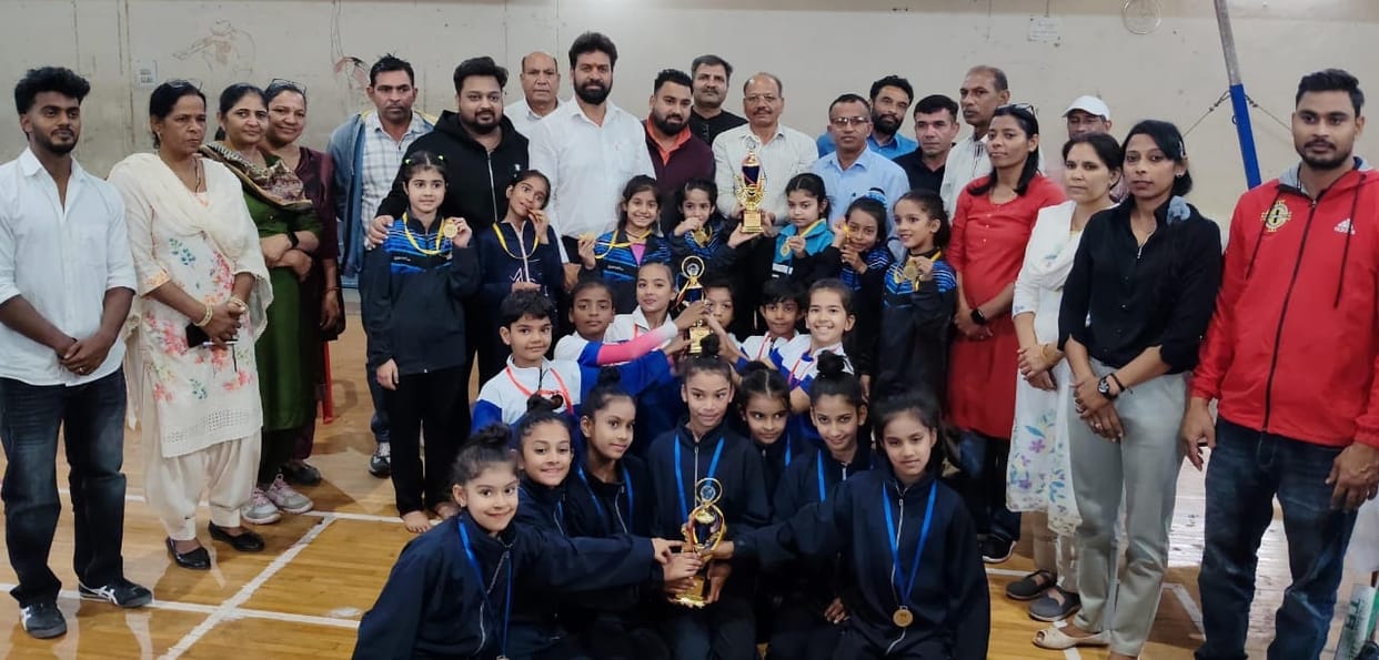 Vivek and Yaman won gold medals in yoga competition