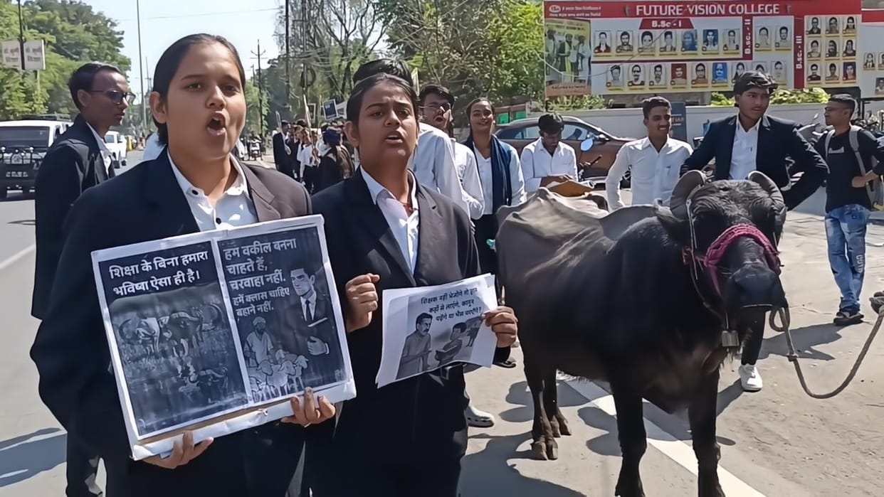 Ujjain News: Law students protest with ‘Kaala Akshar Bhains Barabar’ placards, symbolically graze buffaloes