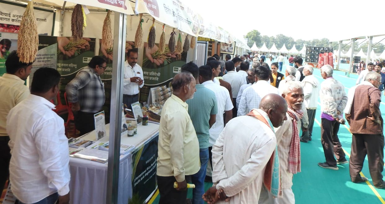 Siddharthnagar News : High demand for Kalanmak in Europe and Gulf countries...Export deal of Rs 80 crore
