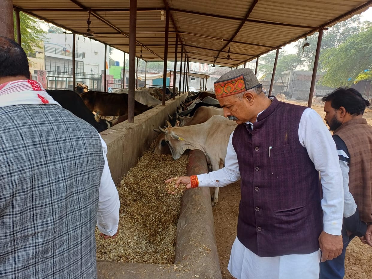 The Commission members were displeased with the chaos at the cowshed.