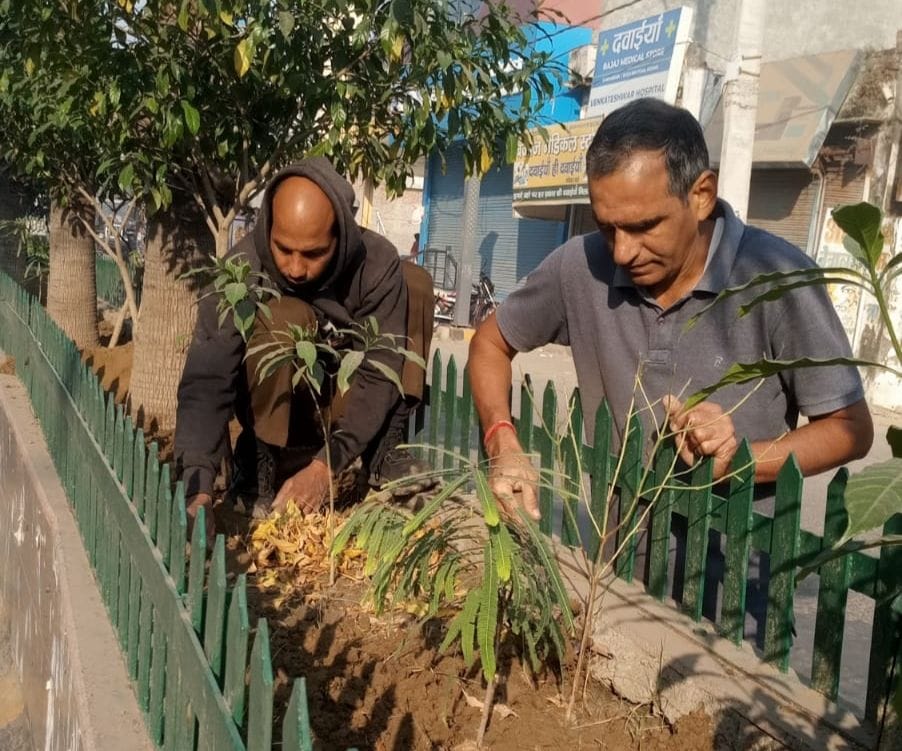 The Social Welfare Organization planted 15 saplings and weeded out the old plants.