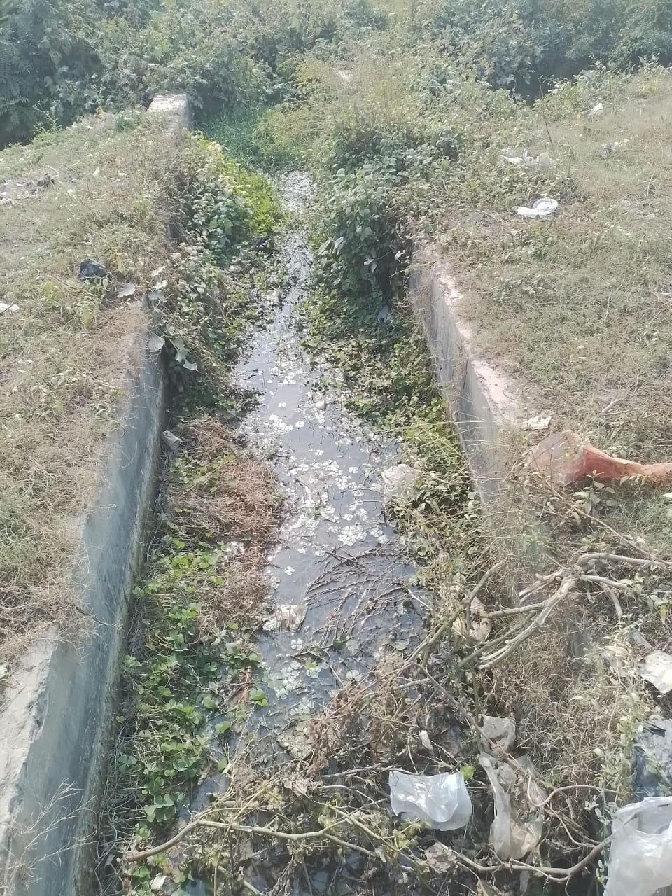 The dam is filled with dirt, how will water reach Hari Ki Pauri?