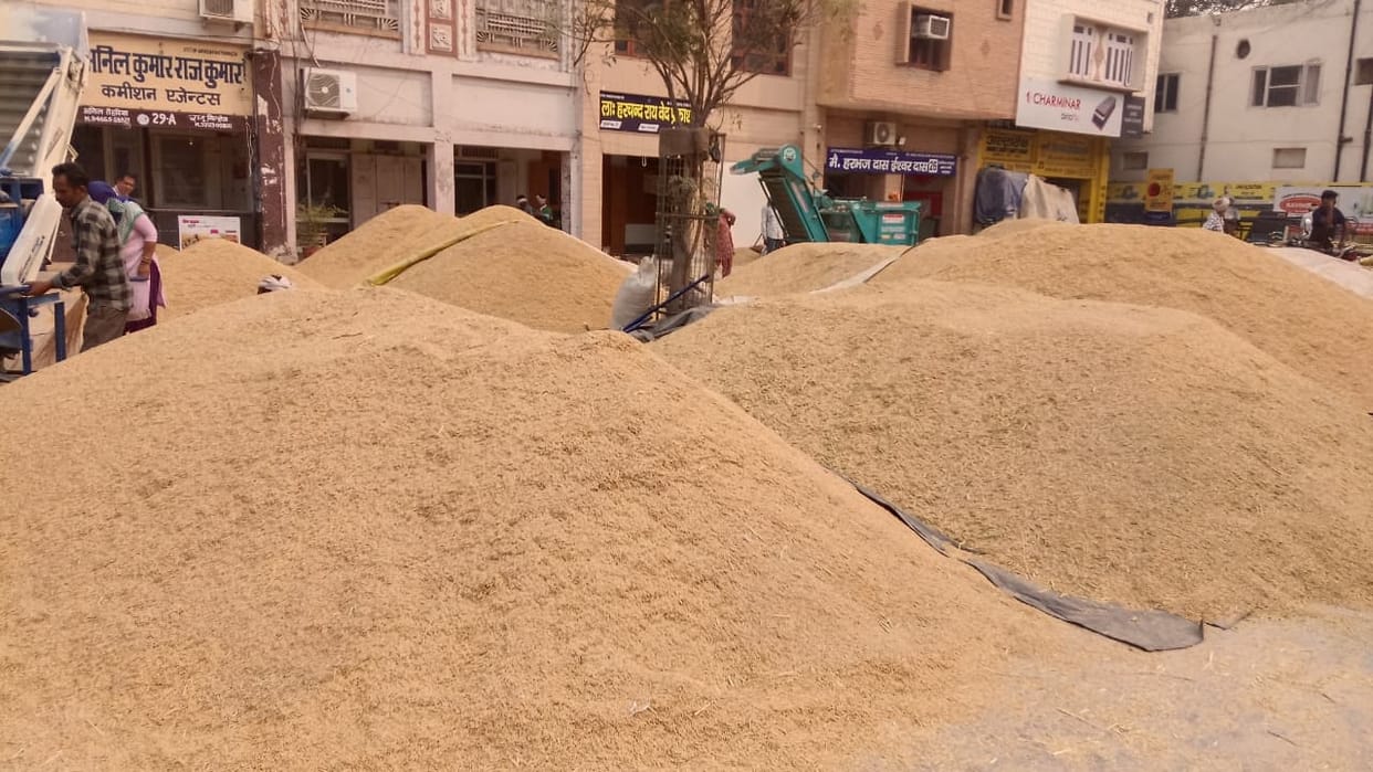 Chaos prevails in grain markets, causing problems in the procurement process