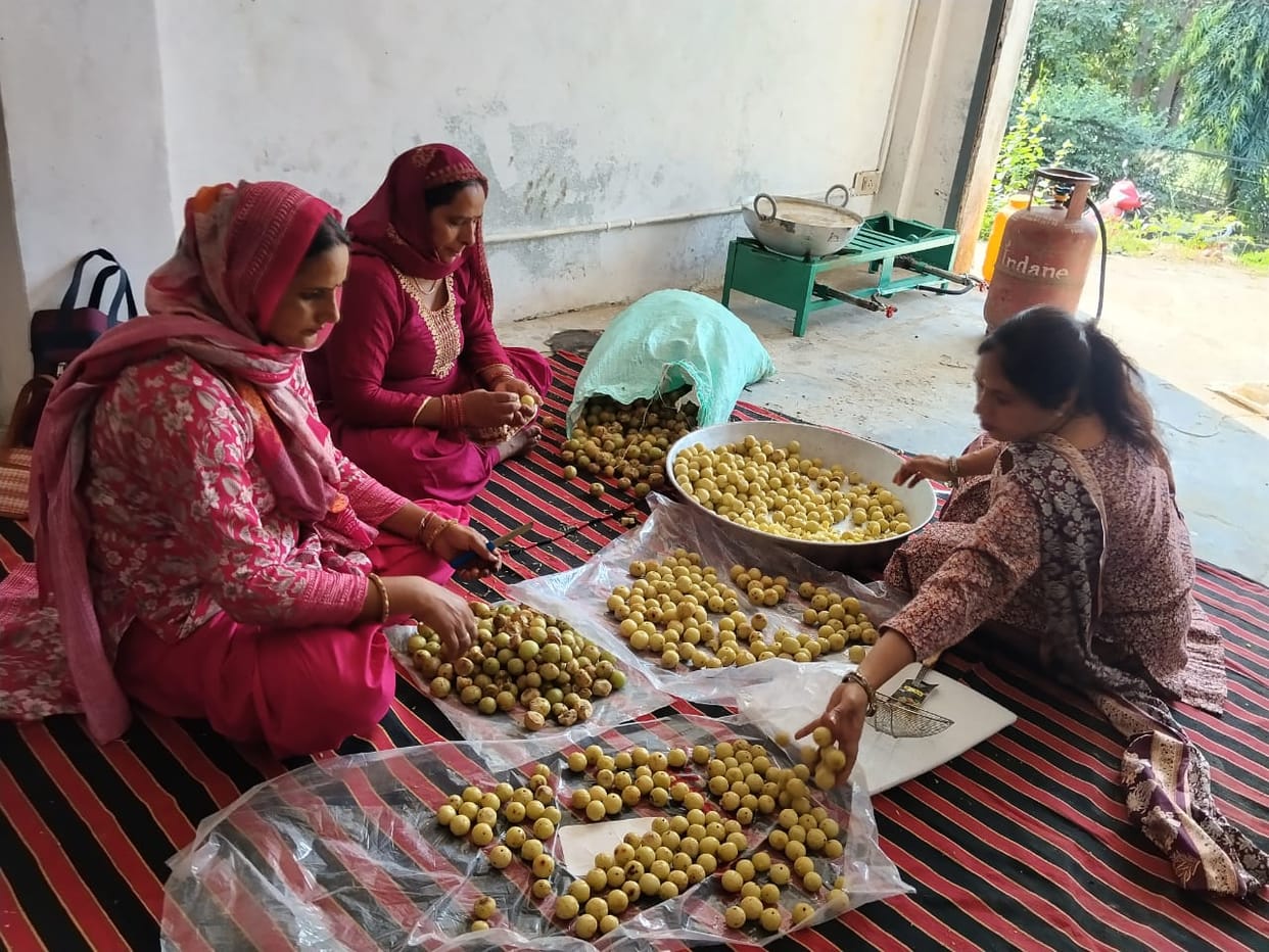 A ray of self-employment... 2000 women made self-reliant by providing them employment.