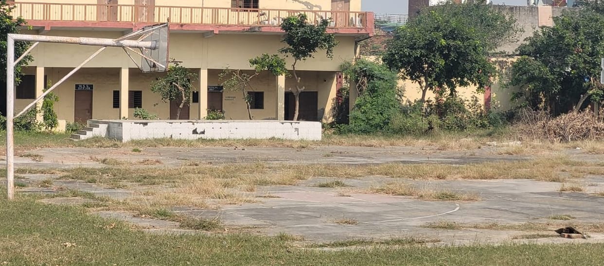 Big grass standing in the field, sports competition stopped