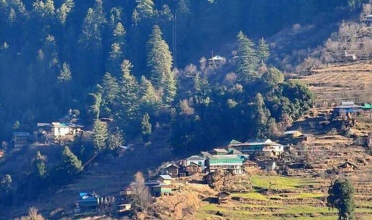 Had the road reached the village, Jhaniyar would have been saved.