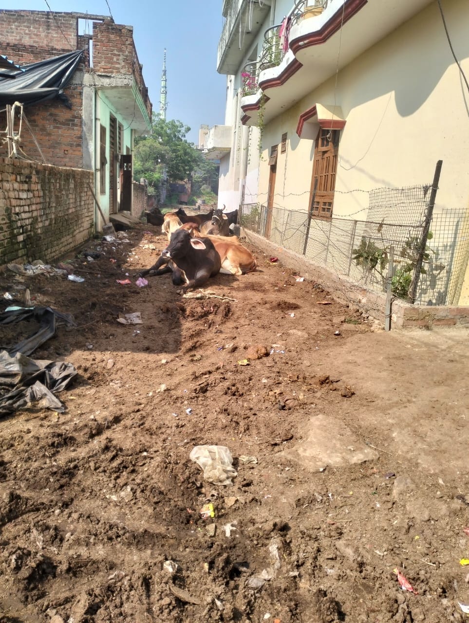 The 1,500-strong population of Naya Mishrapur has been struggling for roads and drainage for 15 years.