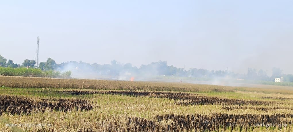 Responsible people are careless...walking became difficult due to fog and fire.