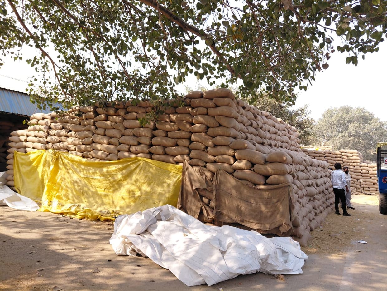 Agriculture news in district.