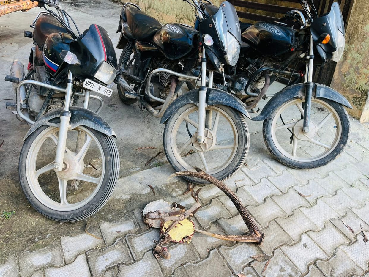 The smugglers fled leaving behind the horns of Kadakki and Sambar
