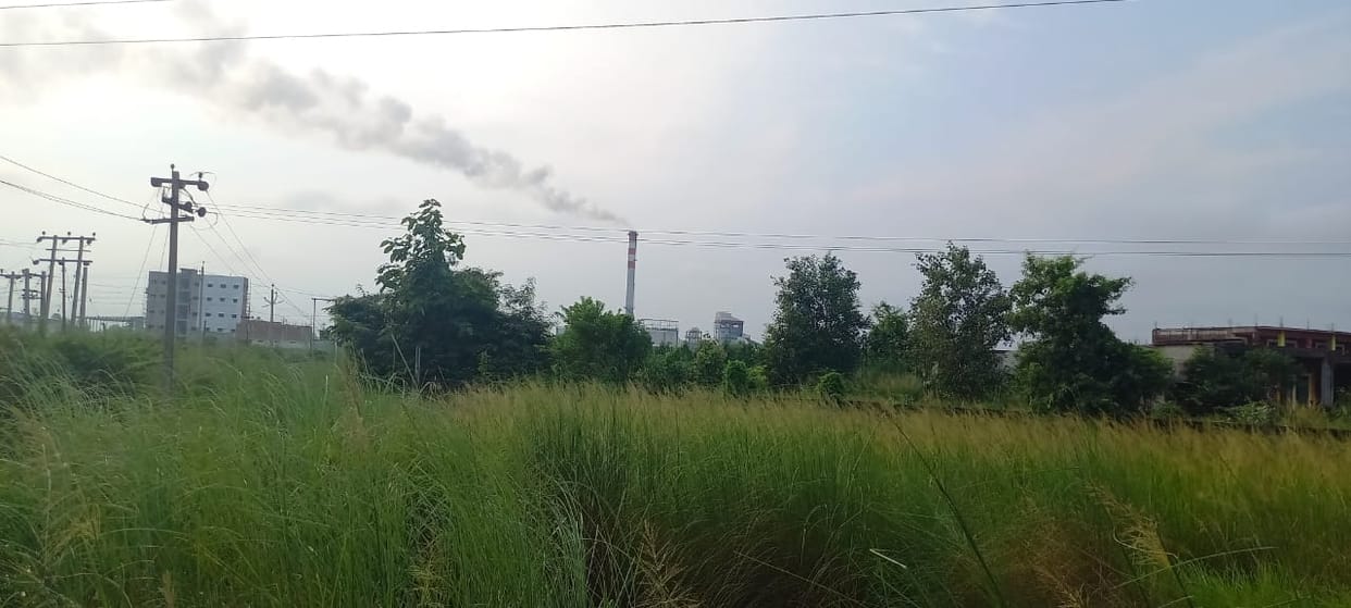 The team will investigate the pollution caused by the factory.