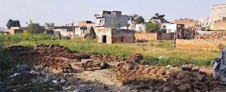 Despite the High Court's order, illegal occupation of government land was not removed.