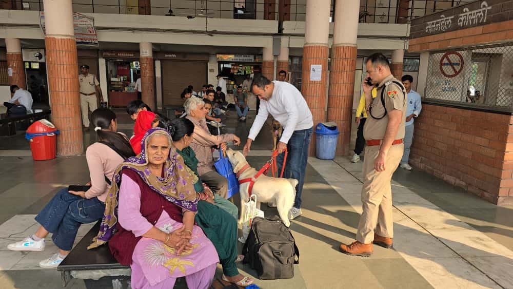 Search operations were conducted with dog squads at public places.
