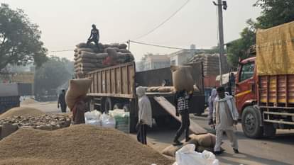 1121 Hand paddy arrival and purchase picks up, lifting continues