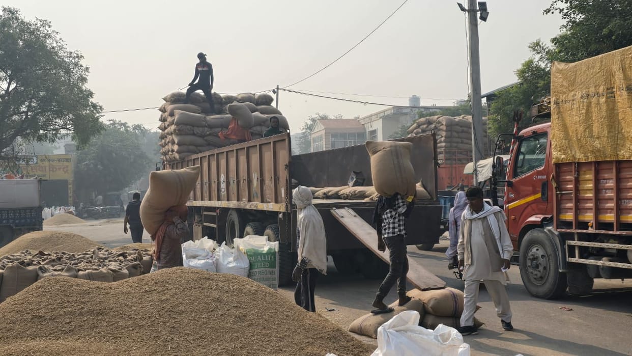 1121 Hand paddy arrival and purchase picks up, lifting continues