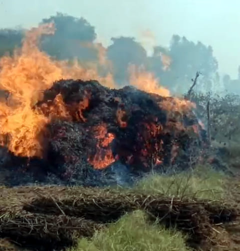 700 bundles of Karb burnt in Sannpura fire