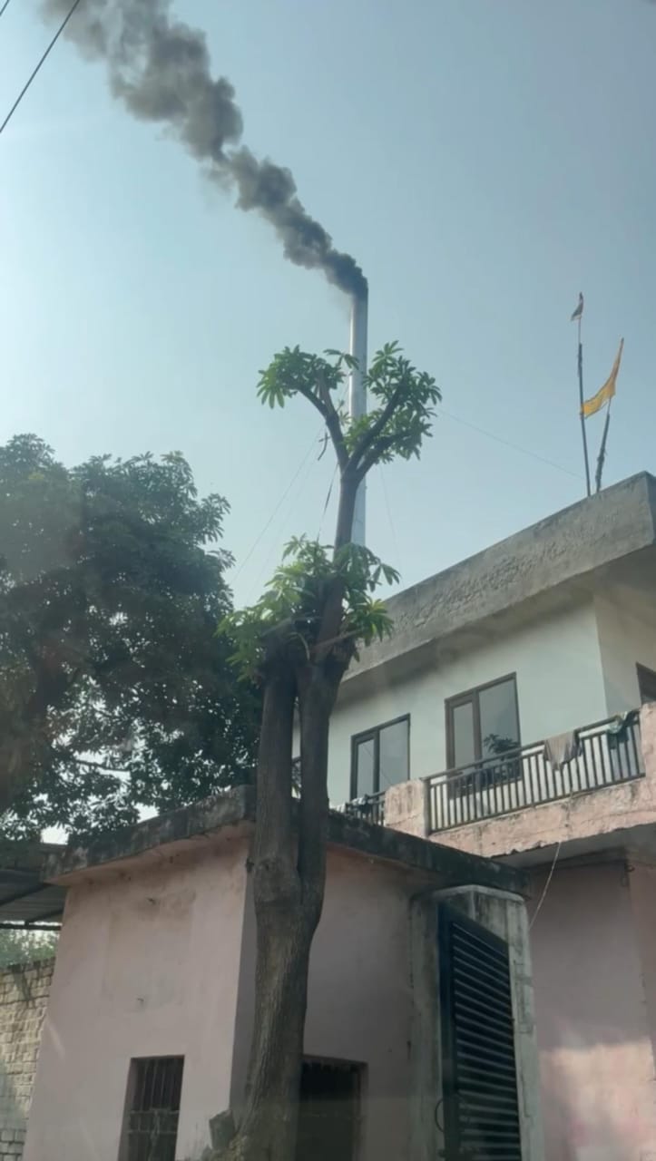 Grape-3 implemented, construction and demolition stopped, inspection team formed
