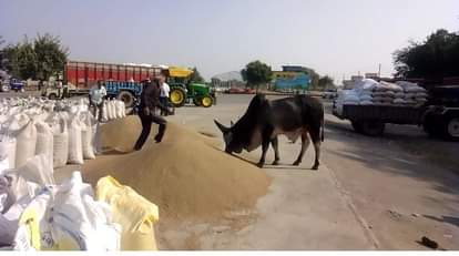 Vehicles were not allowed to enter the market after 2 o'clock.
