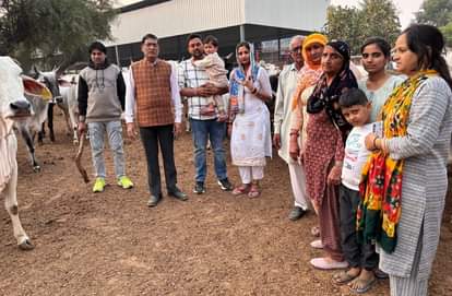 Contribution of 51 thousand rupees given to Shri Krishna Gaushala