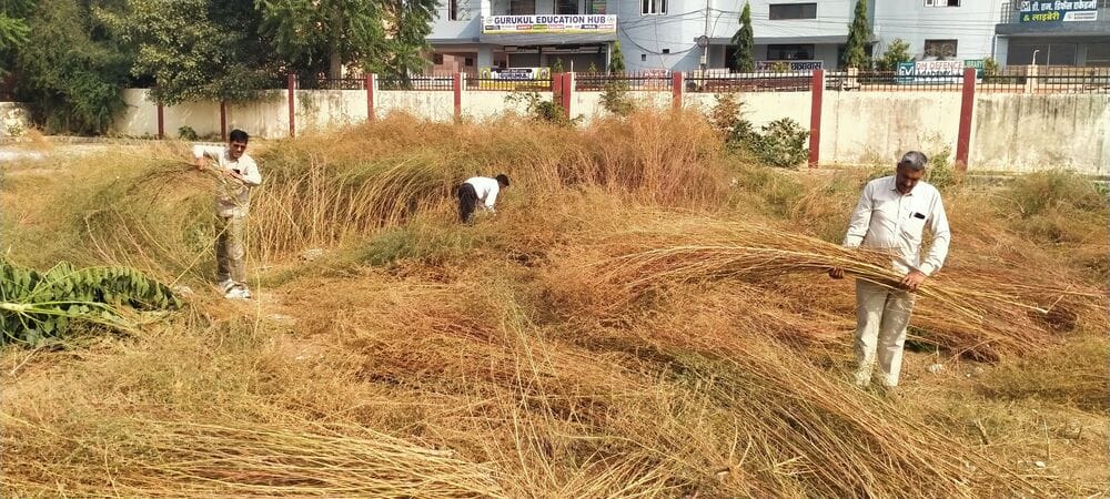 Roadways employees cleaned the Mahendragarh sub-depot.