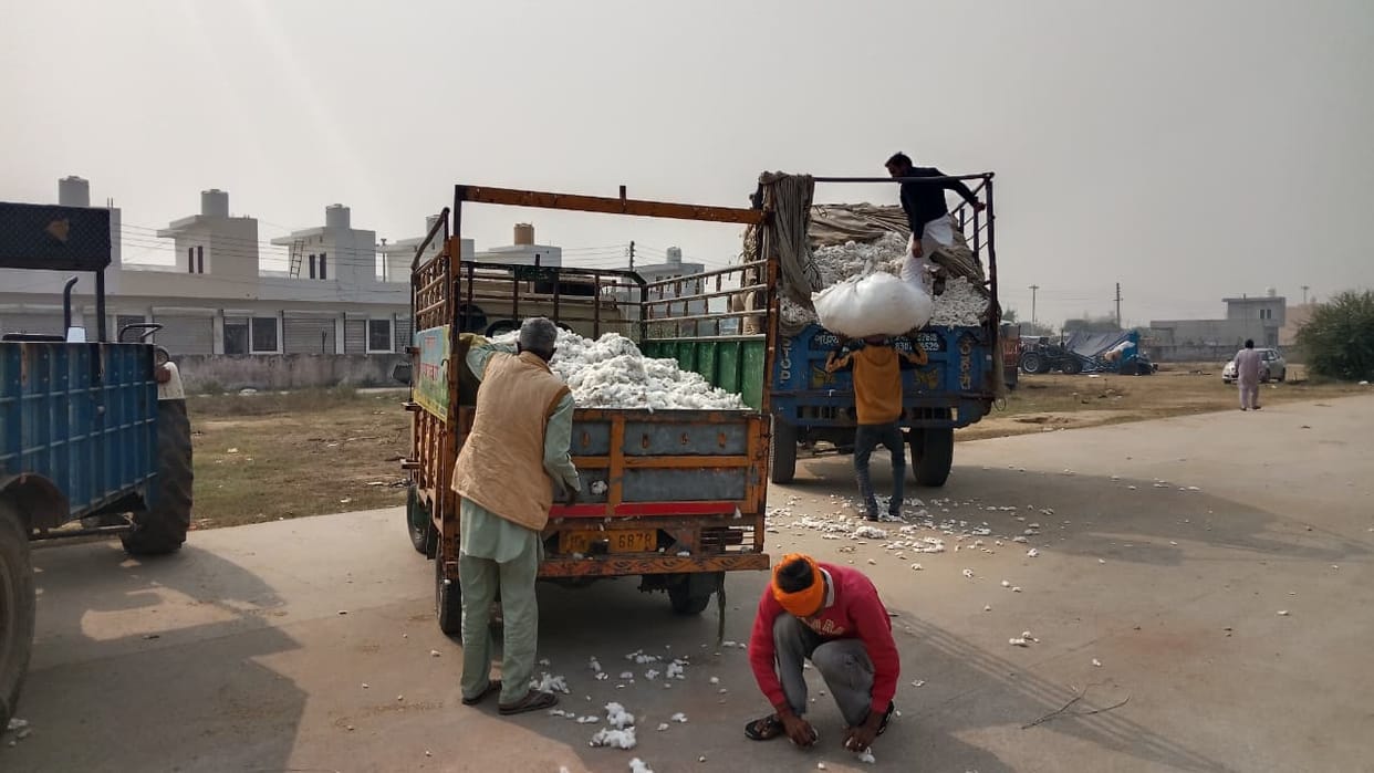 Cotton is being purchased at MSP, but the price is being reduced citing low quality