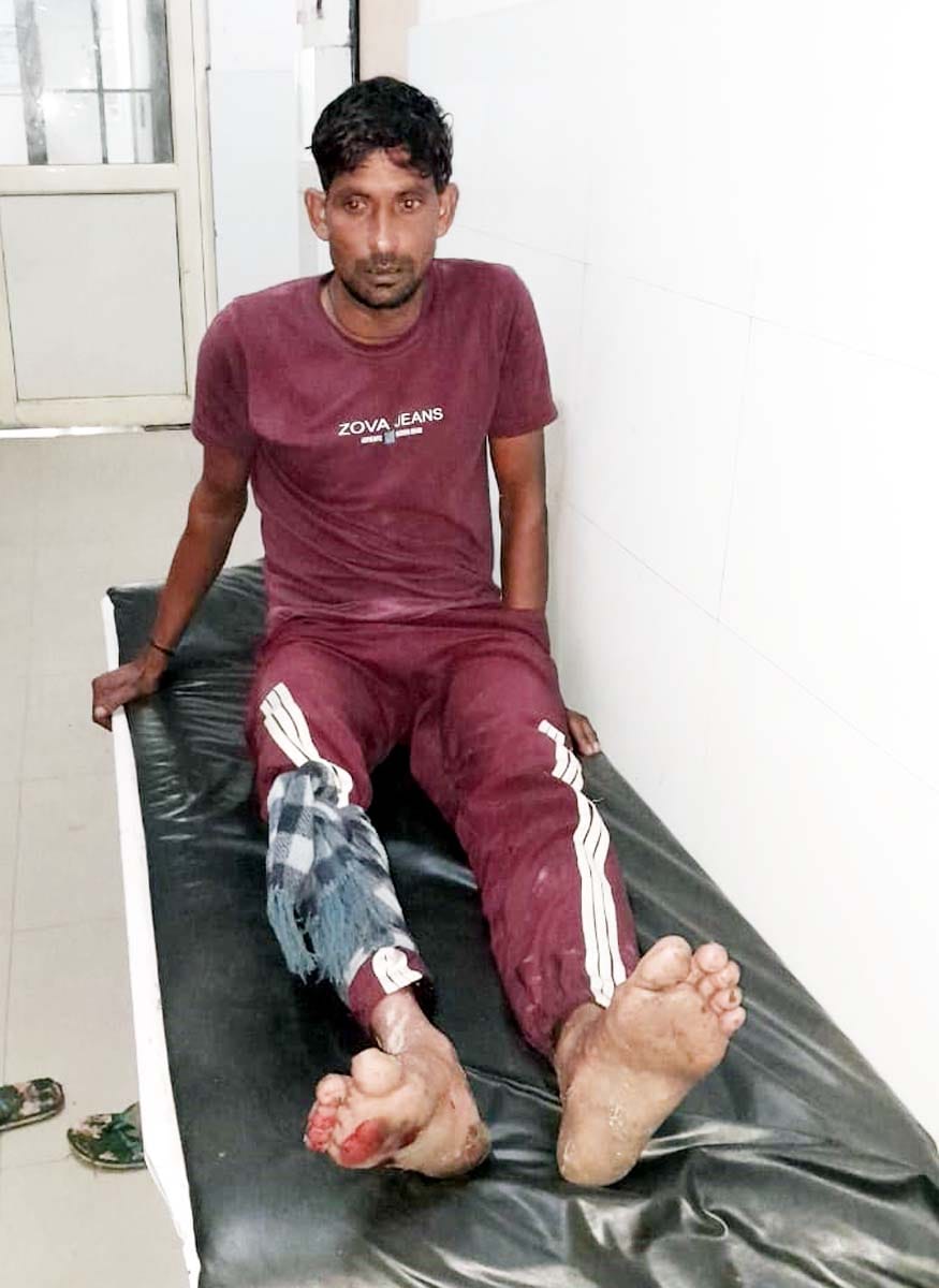 Five people are involved in a gang that slaughters protected animals and sells their meat.