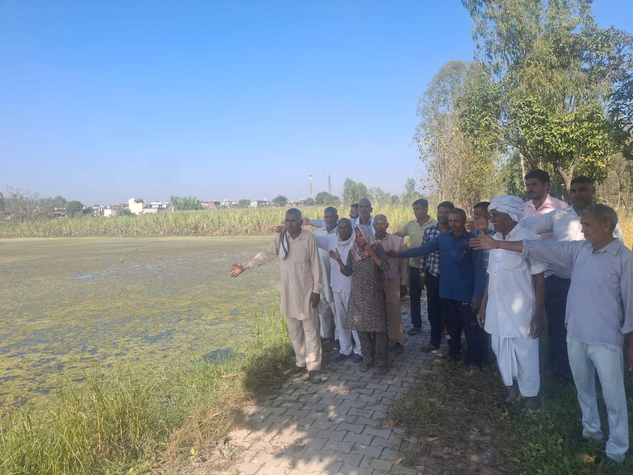 Unable to sow due to lack of drainage