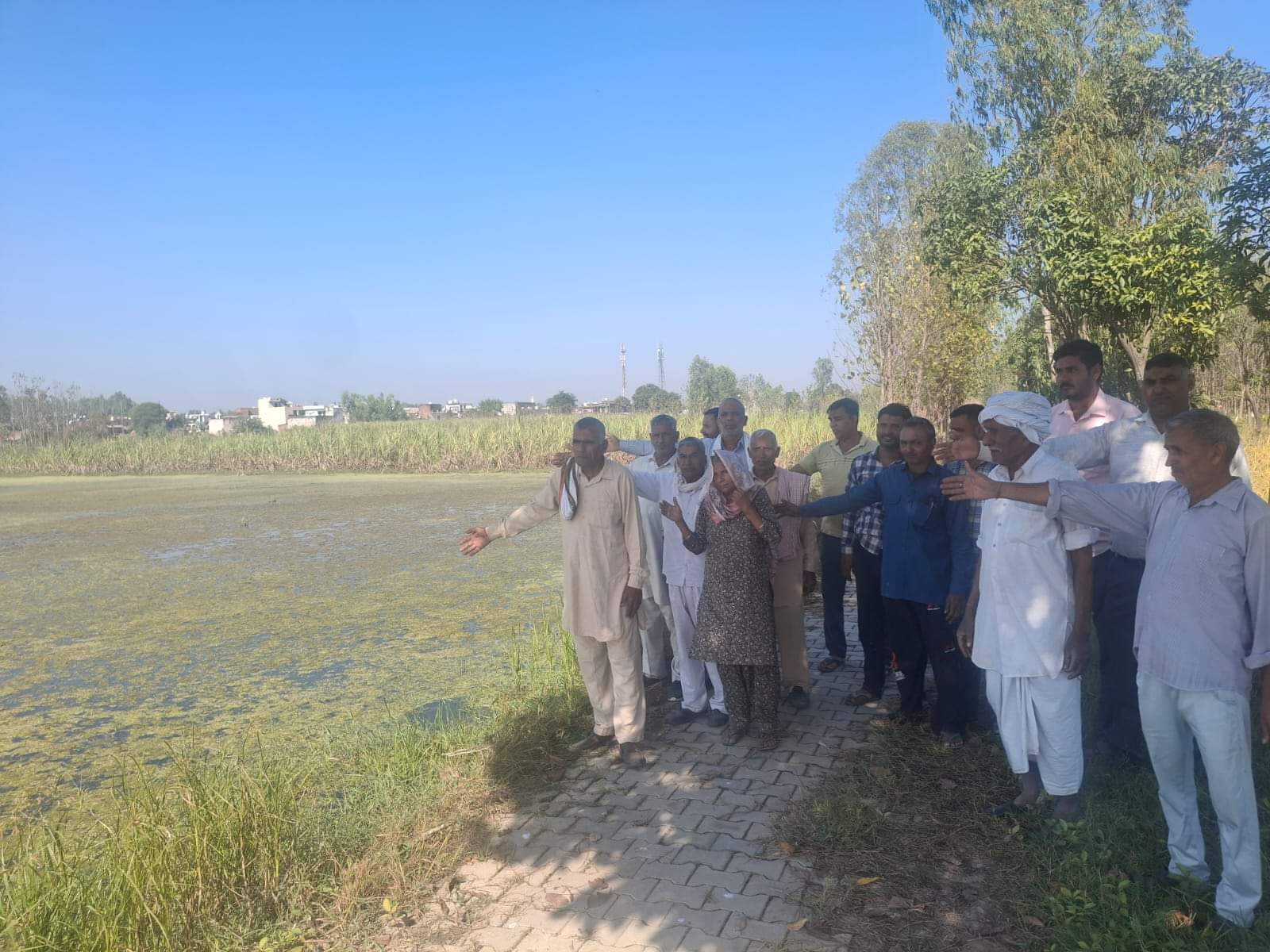 मलिकपुर बांगर के खेतों में जमा पानी को दिखाते ग्रामीण। संवाद