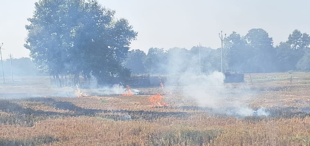 Siddharthnagar News : Straw burning as farmers quake fields even after moratorium