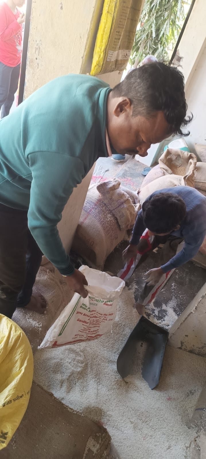 Rotten food grains were being distributed in the government ration shop.