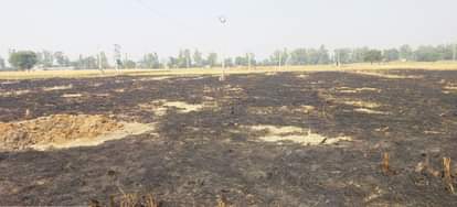 Life choked by stubble smoke