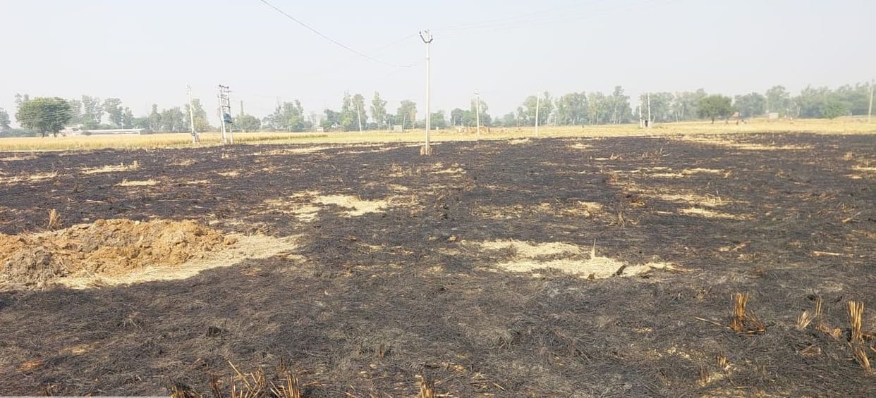 Life choked by stubble smoke
