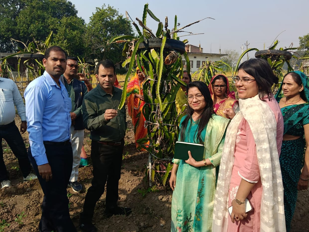 Trainee IAS got information about dragon fruit farming