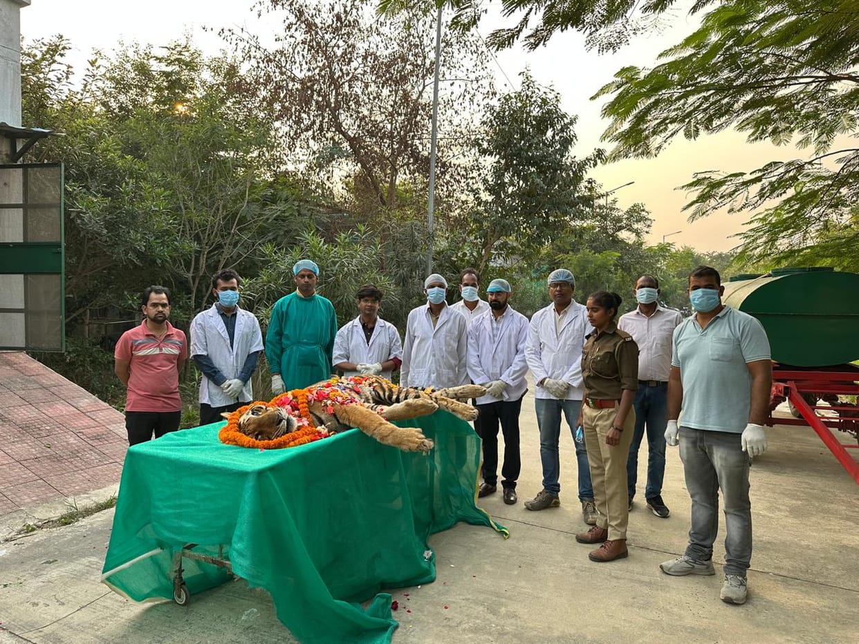 Zoo tigress Malani dies