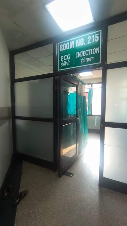 The corporation could not tender for sterilization of stray dogs after December 2023.