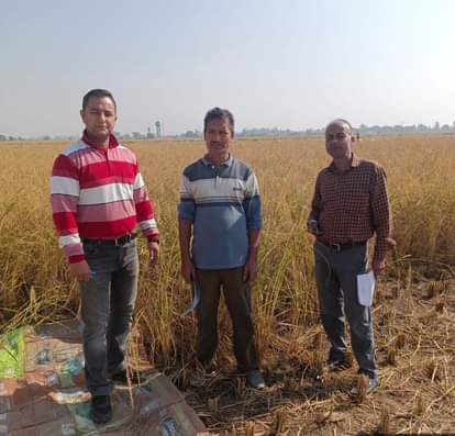 arnia news, agriculture news