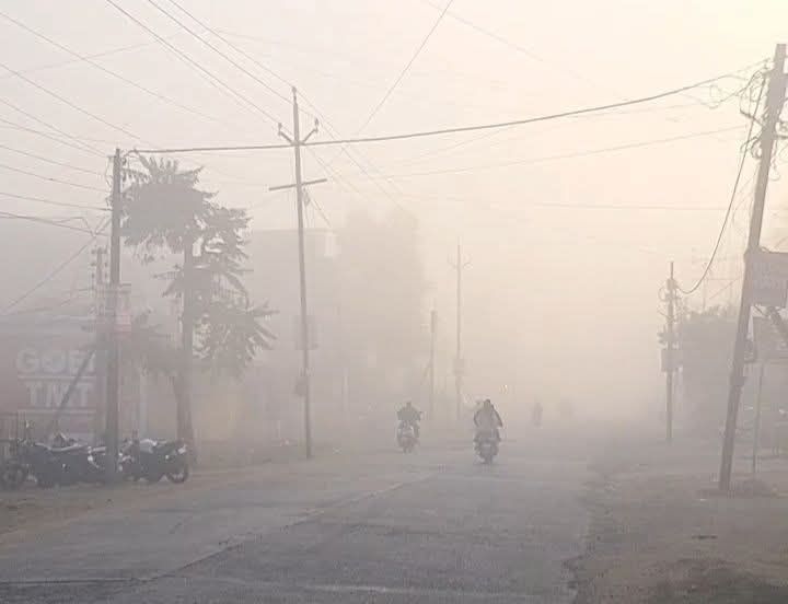 मंडला में ठंड और कोहरे का असर।