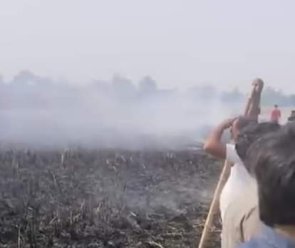 12 bighas of paddy crop burnt due to fire