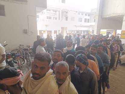 900 bags of DAP arrived overnight, and 500 farmers queued up in the morning.