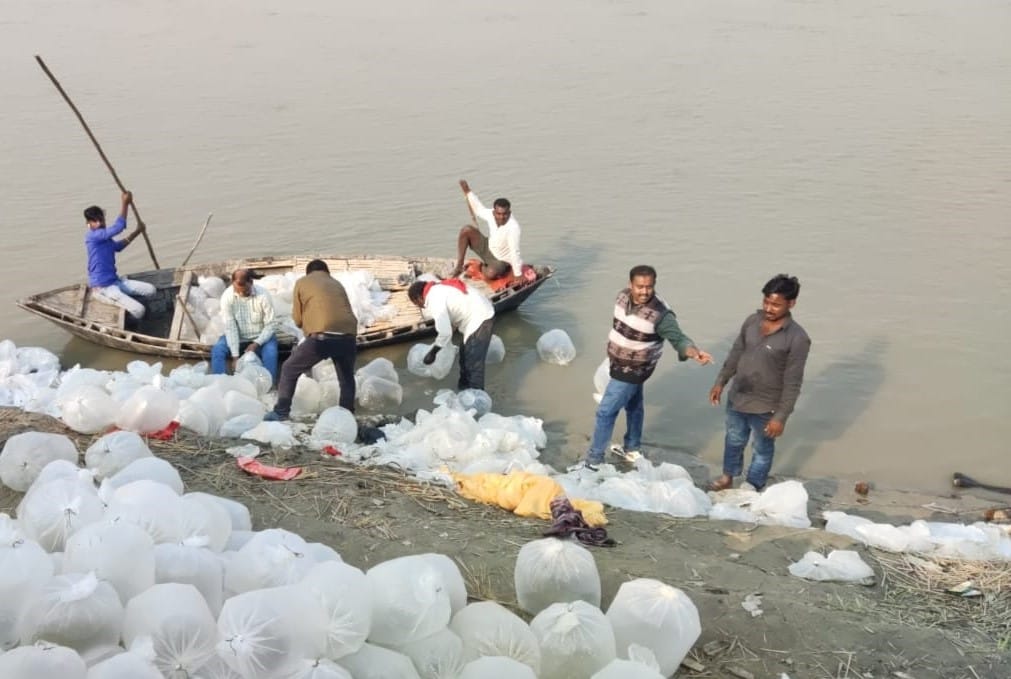 Baby fish released into the Saryu River