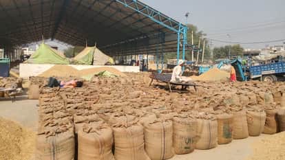 13.88 lakh quintals of paddy arrived in Uttarakhand from Uttar Pradesh