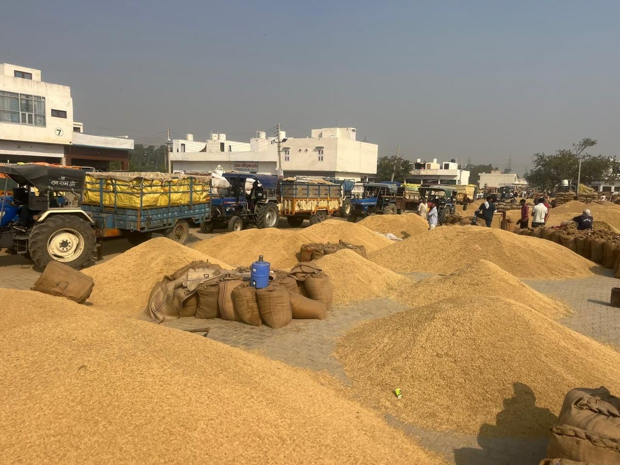 The market remained closed for three days, yet it was filled with paddy.